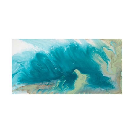 Pam Ilosky 'Breaking Surf II' Canvas Art, 12x24